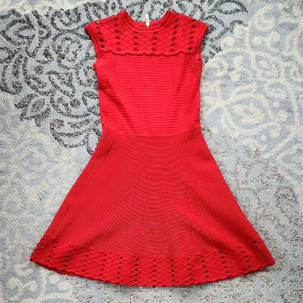 Ted Baker Zaralie Jacquard Panel Skater Dress Red 2